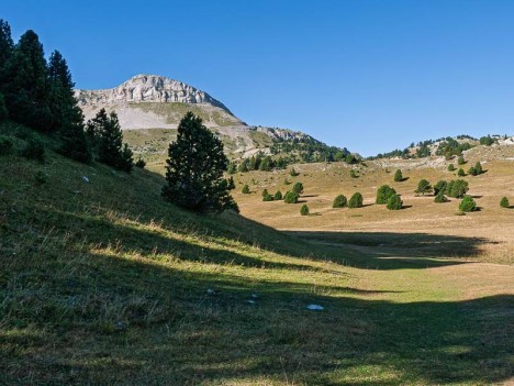 Le Sommet de la Montagnette