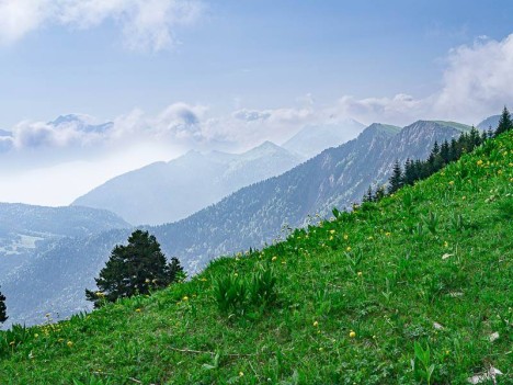 Sous le Pas de l'Essaure, la Tête de Praozel