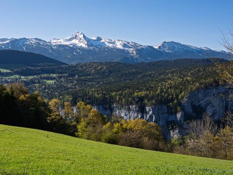 La Grande Moucherolle