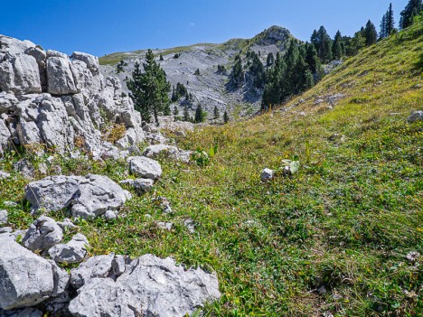 Le sommet des Rochers de la Peyrouse depuis le débouché de la Draye des Bergers