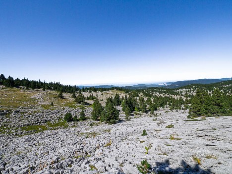 L'étendue du lapiaz du Pas Étoupe