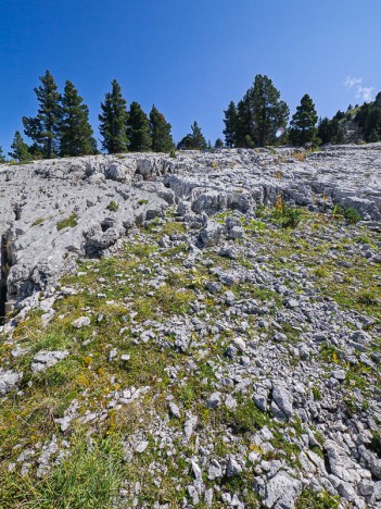 Le lapiaz du Pas Étoupe