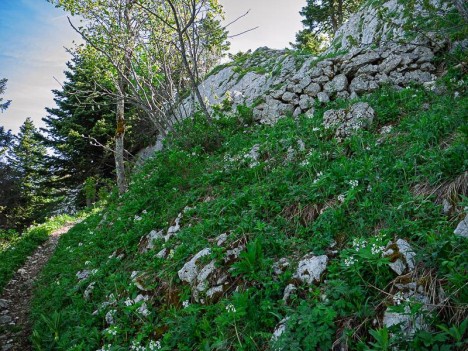Sous le Pas de Pierre taillée