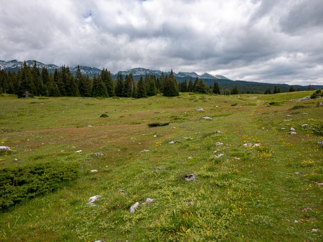 Les crêtes depuis la piste des Charbonniers, juil. 2021