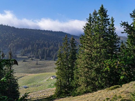 La bergerie de Darbounouse