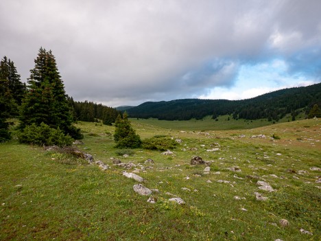 La vaste doline de Darbounouse, juil. 2021