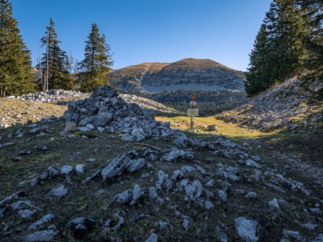 Le collet 1622 de la Plaine de la Chau, oct. 2021