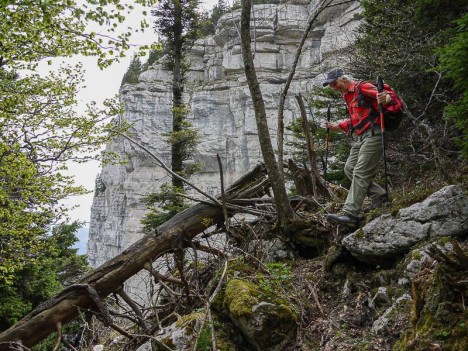 Au bord de la Draye des Communaux
