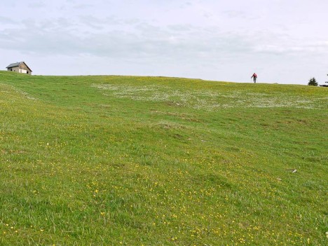 Le plateau de Sornin au printemps