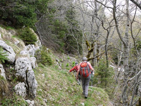 En descendant vers la Draye des Communaux