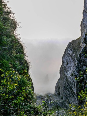 Draye des Communaux, Noyaret