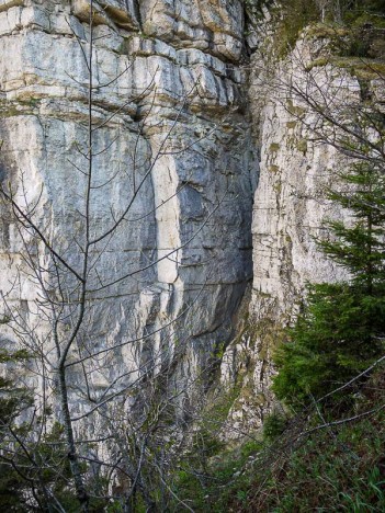 Extrémité Sud de la Draye des Communaux
