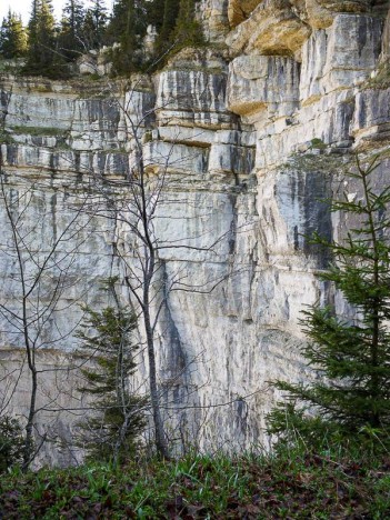 Falaise de la Draye des Communaux