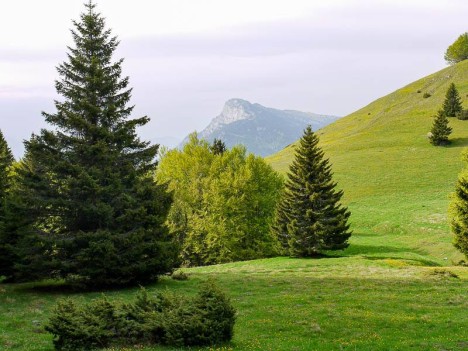 Le Moucherotte au loin