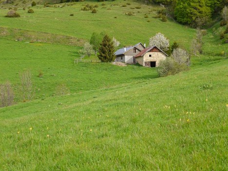 Les maisons de Sornin