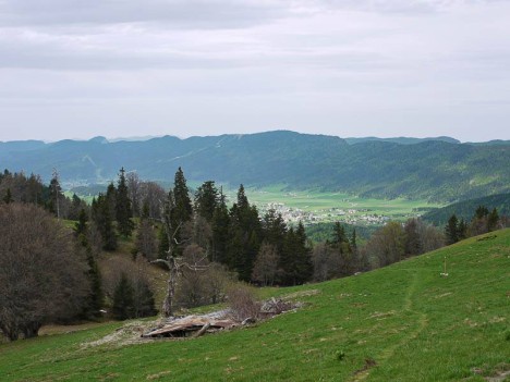 La ruine de Plénouze