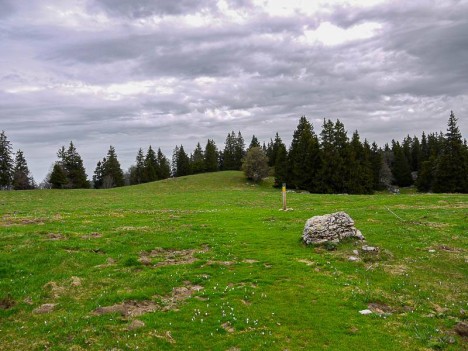 Alpages de Plénouze