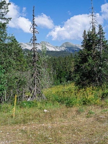 Les crêtes du Ranc Traversier et du Sommet de Malaval