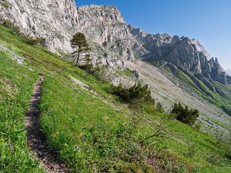 Falaise de Sophie, le cirque du Pas de l'Œille et les Sultanes