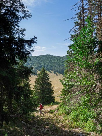 Débouché de la Draye des Bergers dans la Prairie de Darbounouse