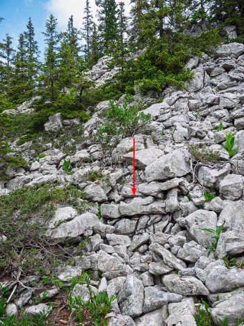 Le muret de la Fontaine Gravianelle supposée