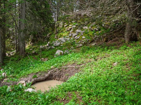 Marigot d'eau sale, serait-ce la Fontaine Gravianelle