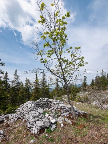 Une jasse ruinée du Purgatoire