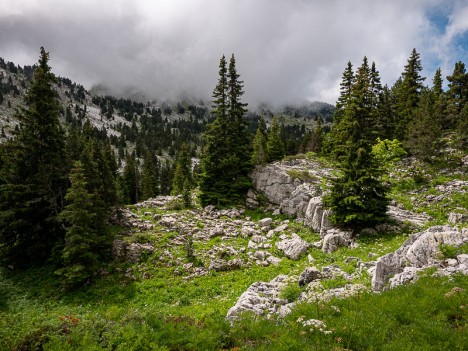 Le talweg du passage vers le sentier du Pas Morta, juil. 2021