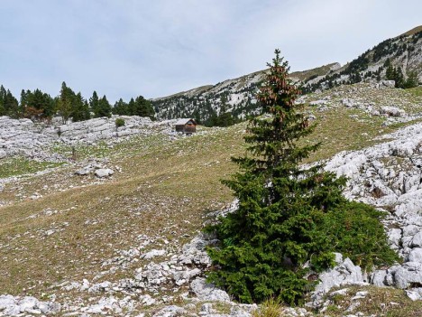 La cabane de berger du point 1726