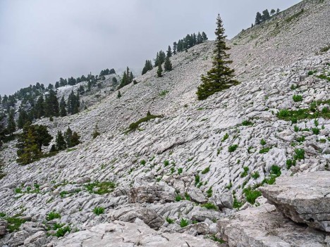Lapiaz en amont de la Source du Bénitier