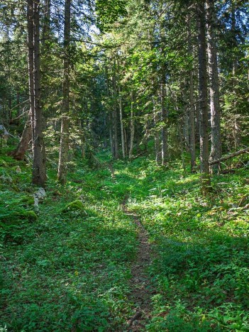 Purgatoire, le sentier des Charbonniers