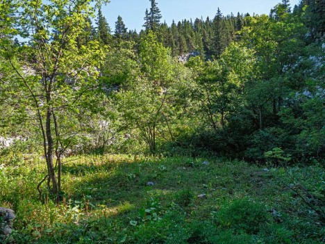 Purgatoire, plateforme charbonnière