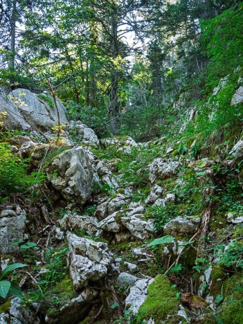 Purgatoire, talweg des Charbonniers