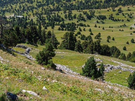 Ruines de jasse