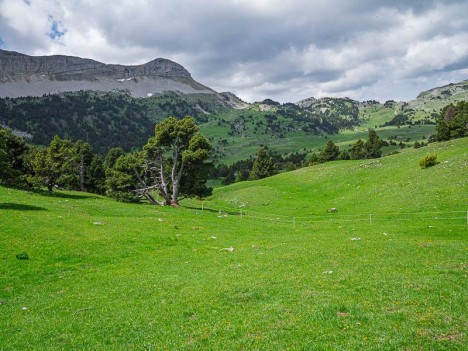 Le Sommet de la Montagnette