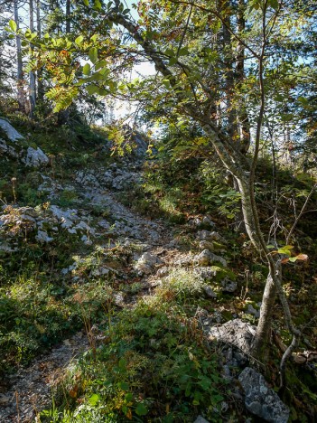 Le Ranc de l'Abbé