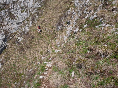Dans la pente herbeuse du haut d'un couloir