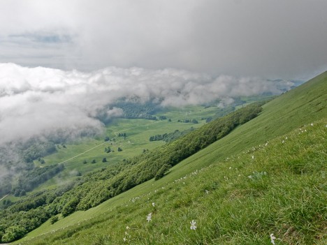 Plaine de la Ferme d'Ambel