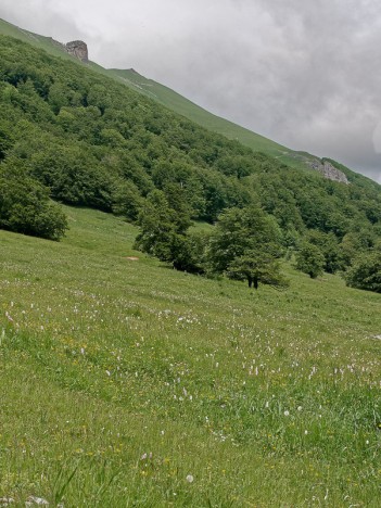 Le versant Est du Roc de Toulau