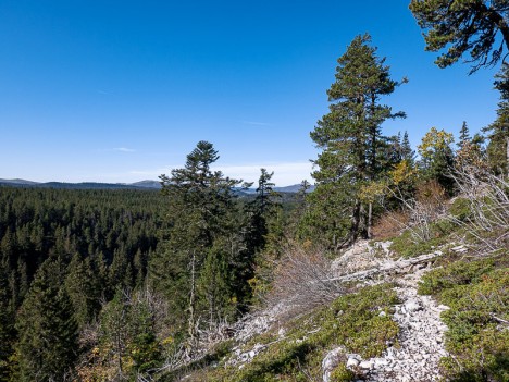 Par le sentier Sud de la Roche Ceinturée, oct. 2021