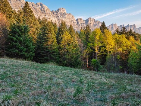 Barrière Est du Vercors, falaises de Rocheherbe et du Sommet de Malaval