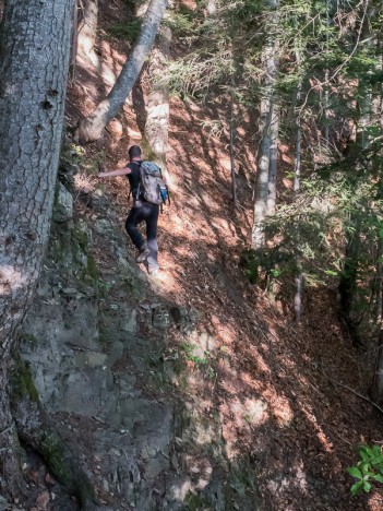 Sur le sentier du Bois du Pelard