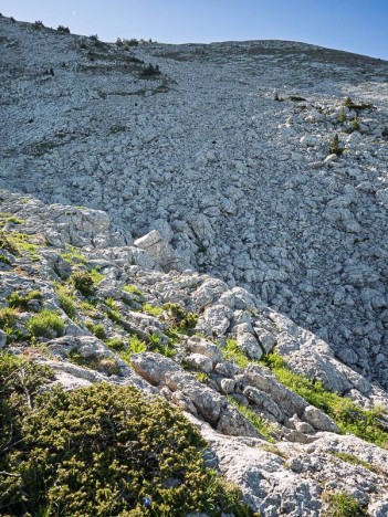 La Combe de Fer