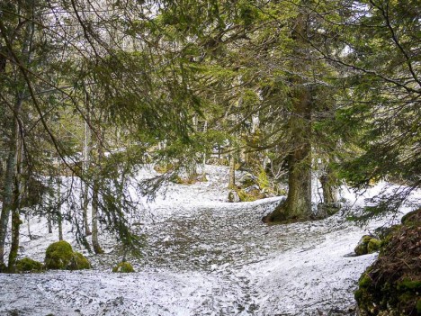 Par le GR® enneigé