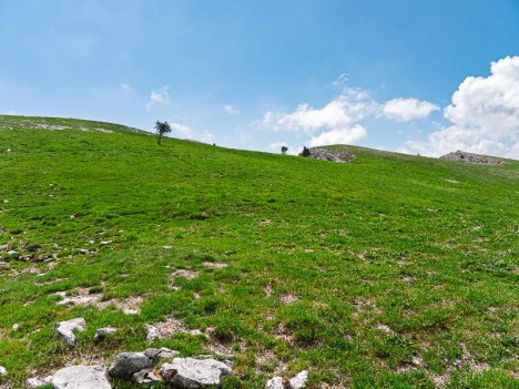 La pelouse des Rochers du Parquet