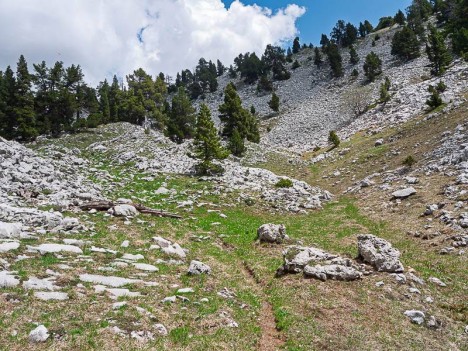 La sente au fond d'un talweg