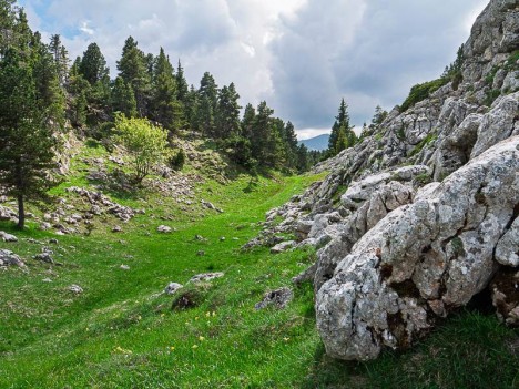 Le talweg d'accès au Pas de l'Ours