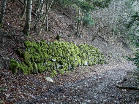 Mur de soutènement