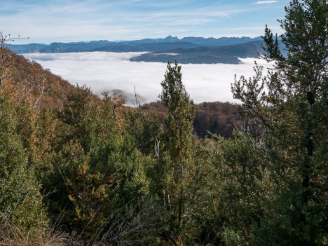 La Grande Moucherolle, Montagne de Musan