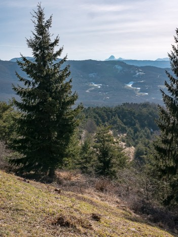 Grande et Petite Moucherolle, à l'horizon